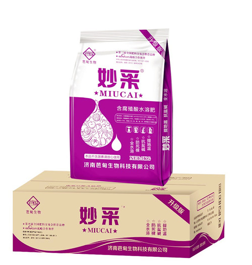 ���-����Ӫ��������������