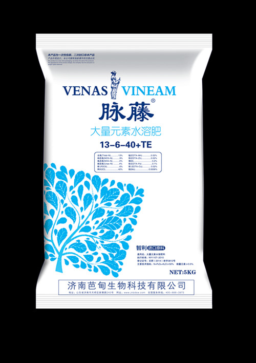 ����13��6��40