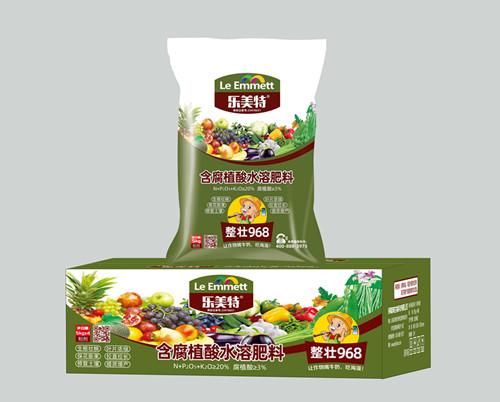 ��������׳